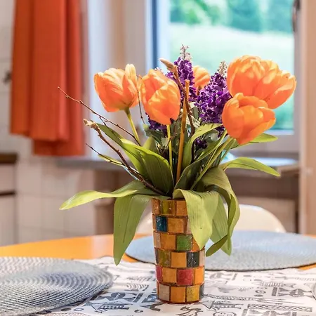 Blick Apartment Todtmoos