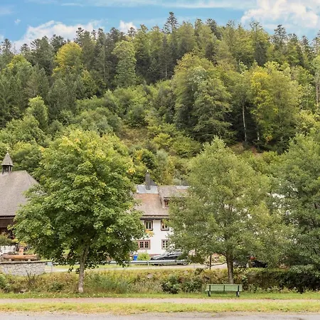 Apartment Blick Todtmoos