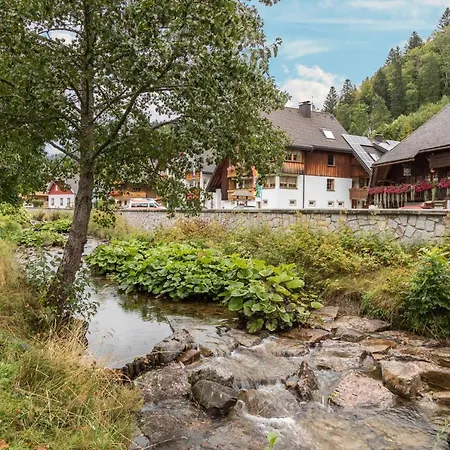 Blick Apartment Todtmoos